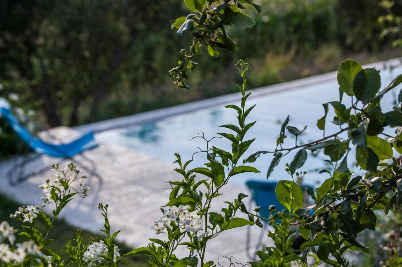 Tenuta San Rocco Conzano ภายนอก รูปภาพ