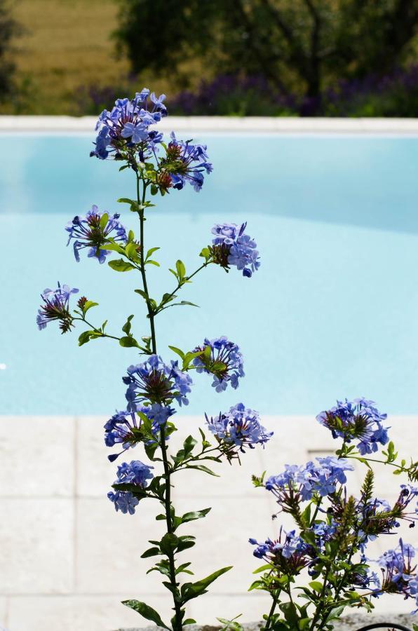 Tenuta San Rocco Conzano ภายนอก รูปภาพ