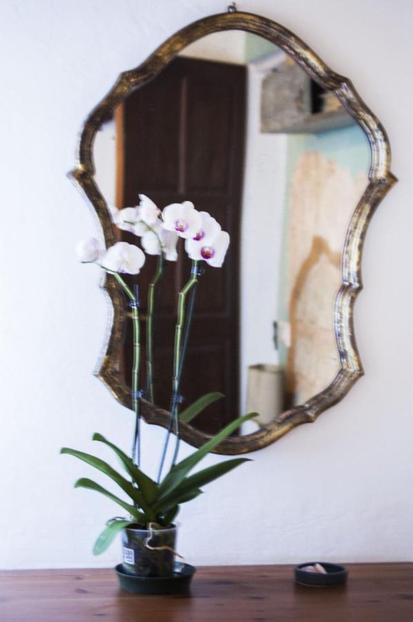 Tenuta San Rocco Conzano ภายนอก รูปภาพ